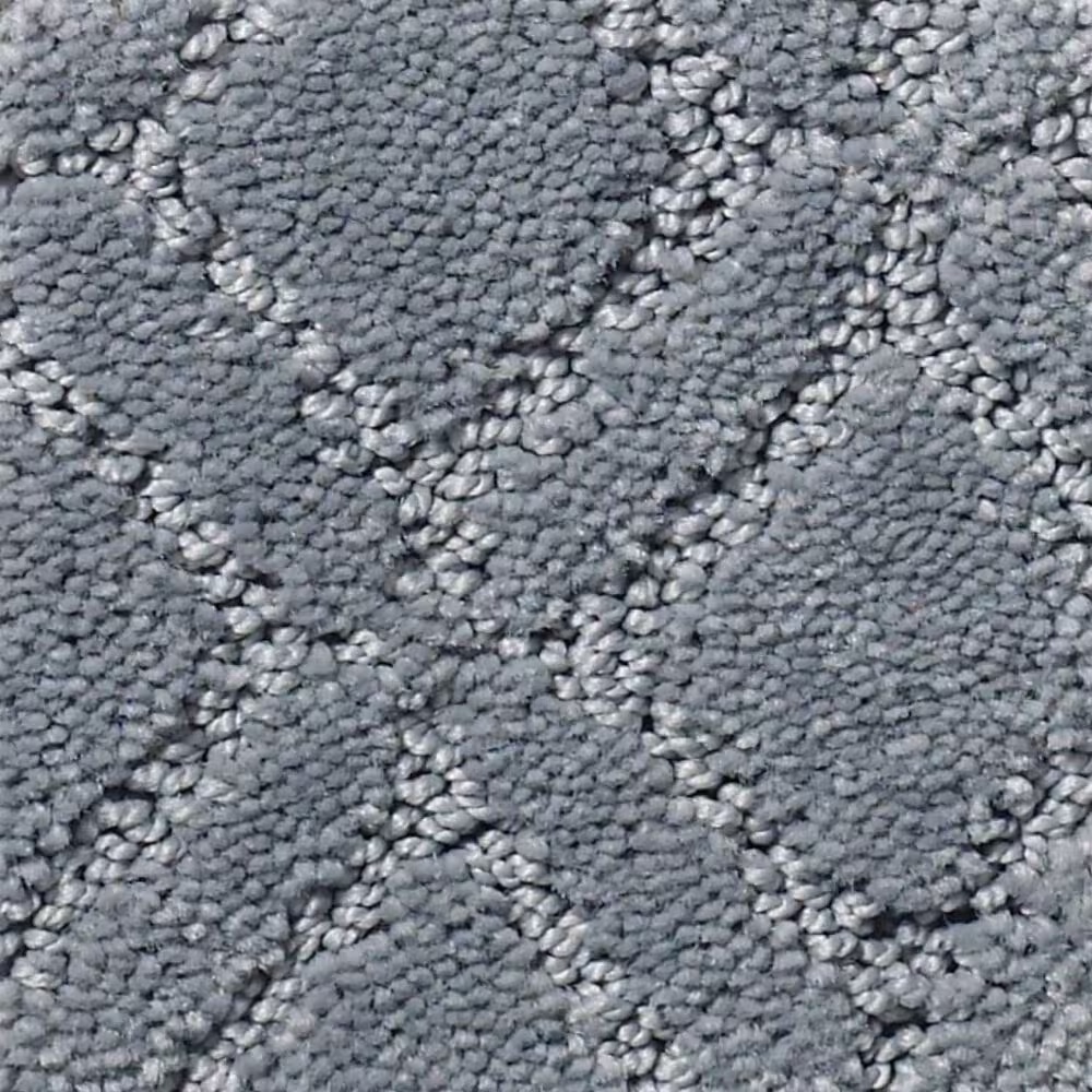 Anderson Tuftex Renoir Carpet in Comet