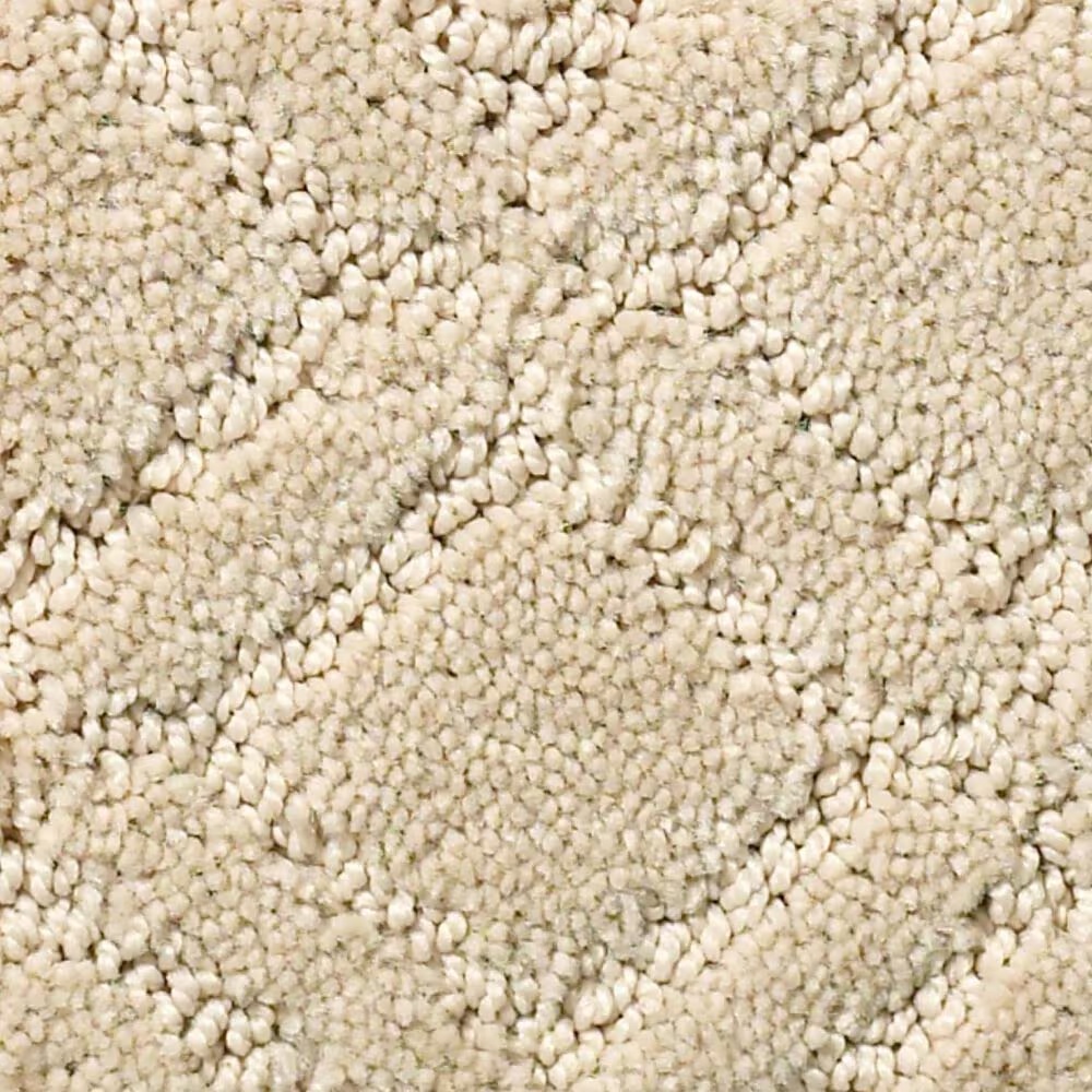 Anderson Tuftex Renoir Carpet in Bungalow