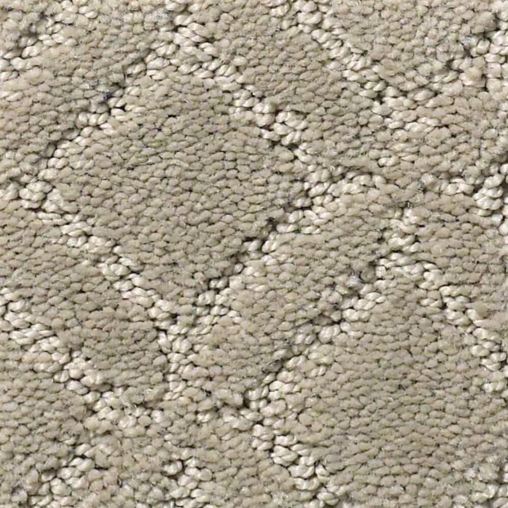 Anderson Tuftex Renoir Carpet in Imperial
