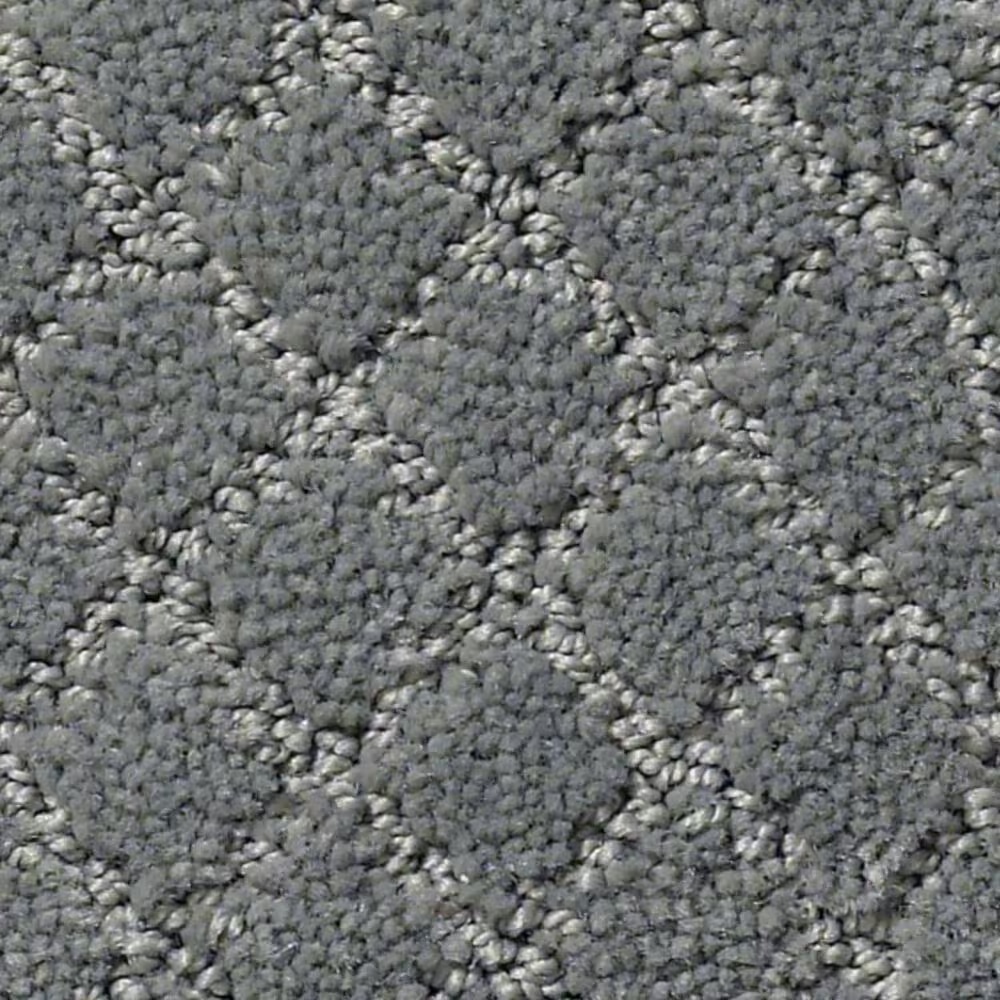 Anderson Tuftex Off Leash Carpet in Steel Wool