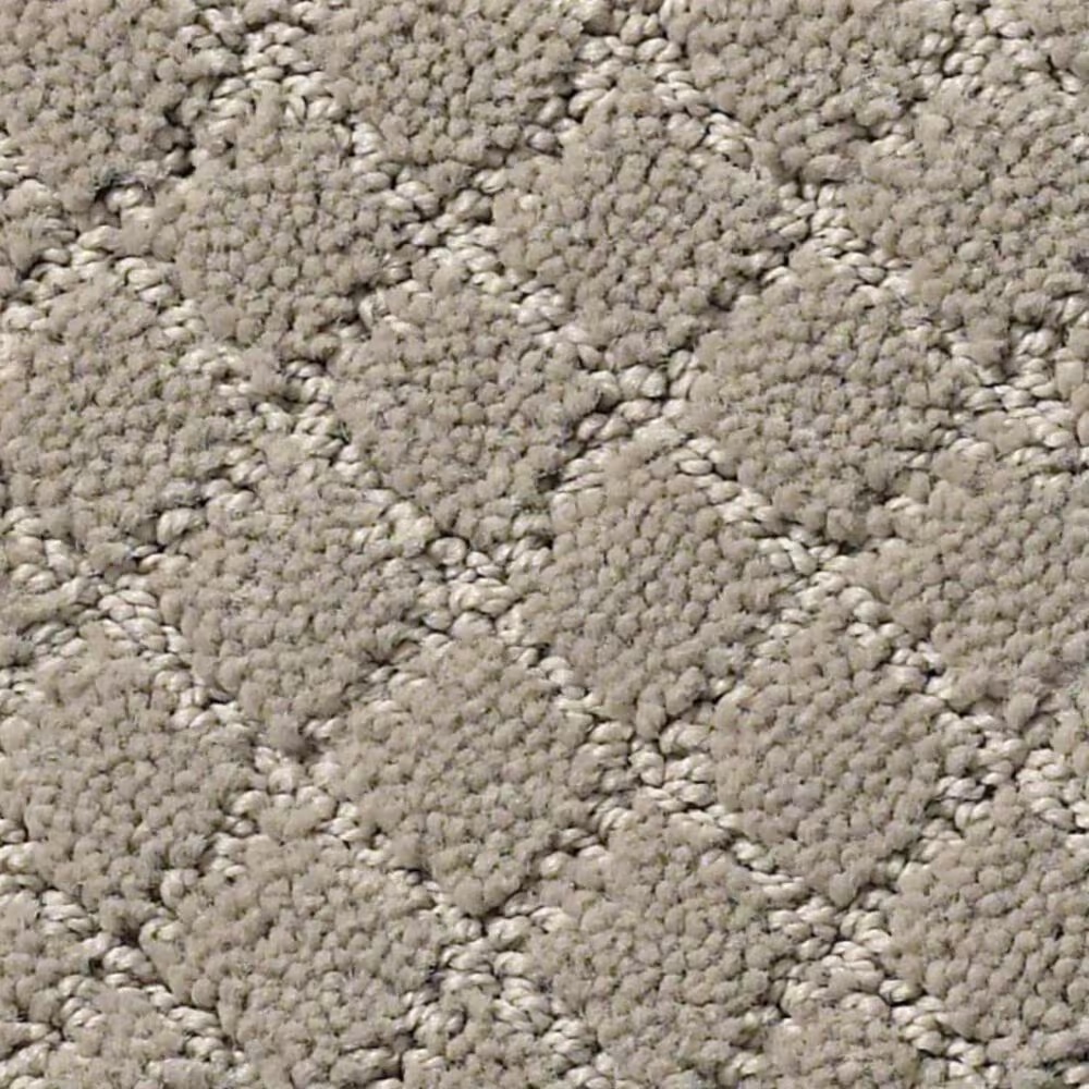 Anderson Tuftex Off Leash Carpet in Mocha Cream