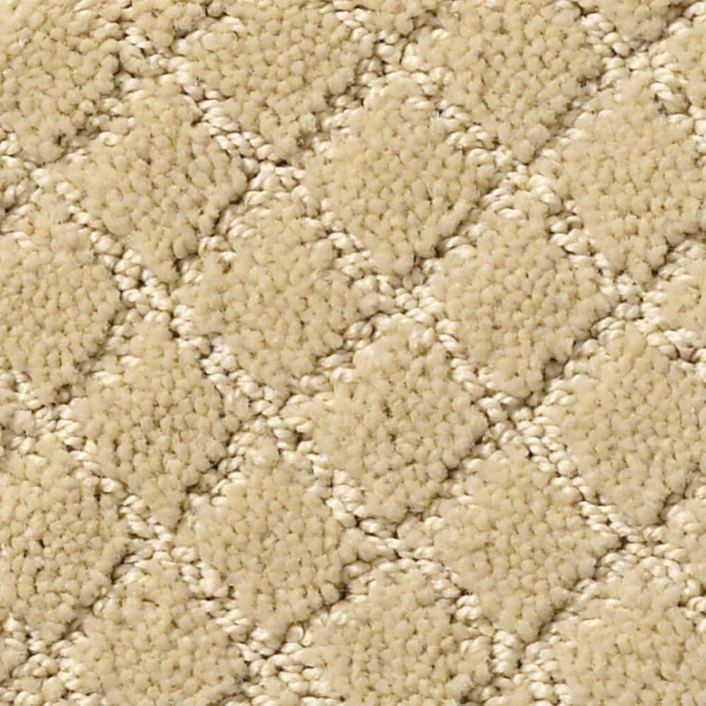 Anderson Tuftex Off Leash Carpet in Cork