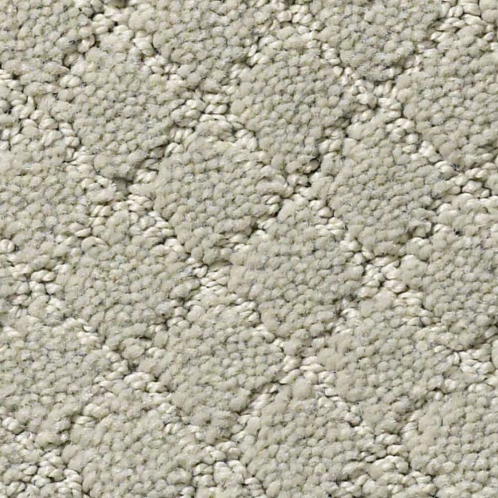 Anderson Tuftex Off Leash Carpet in Meditation