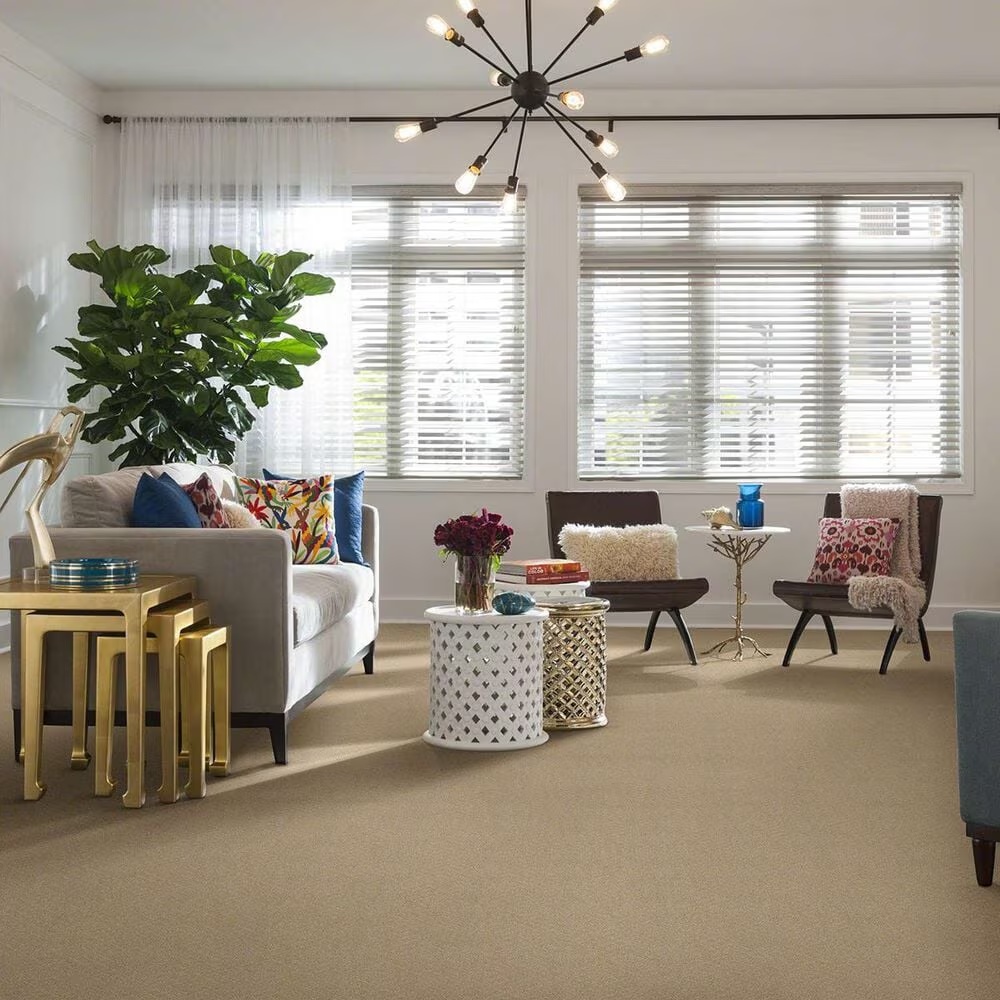 33872-anderson-tuftex-off-leash-carpet-in-hazelnut-1.jpg