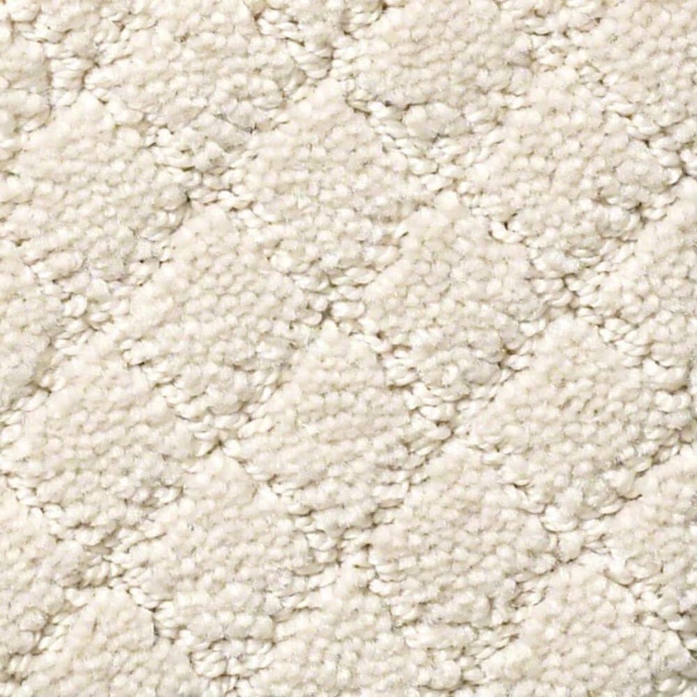 Anderson Tuftex Off Leash Carpet in Capri Coast