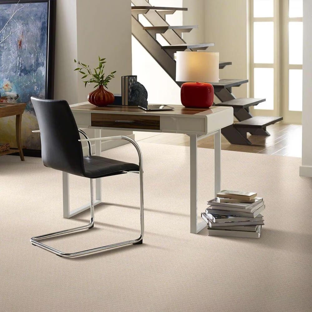 33897-anderson-tuftex-off-leash-carpet-in-capri-coast-1.jpg