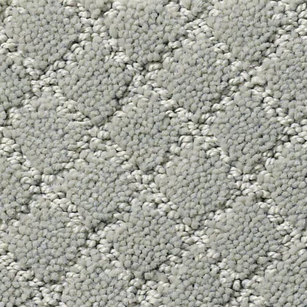 Anderson Tuftex Off Leash Carpet in Misty Lake