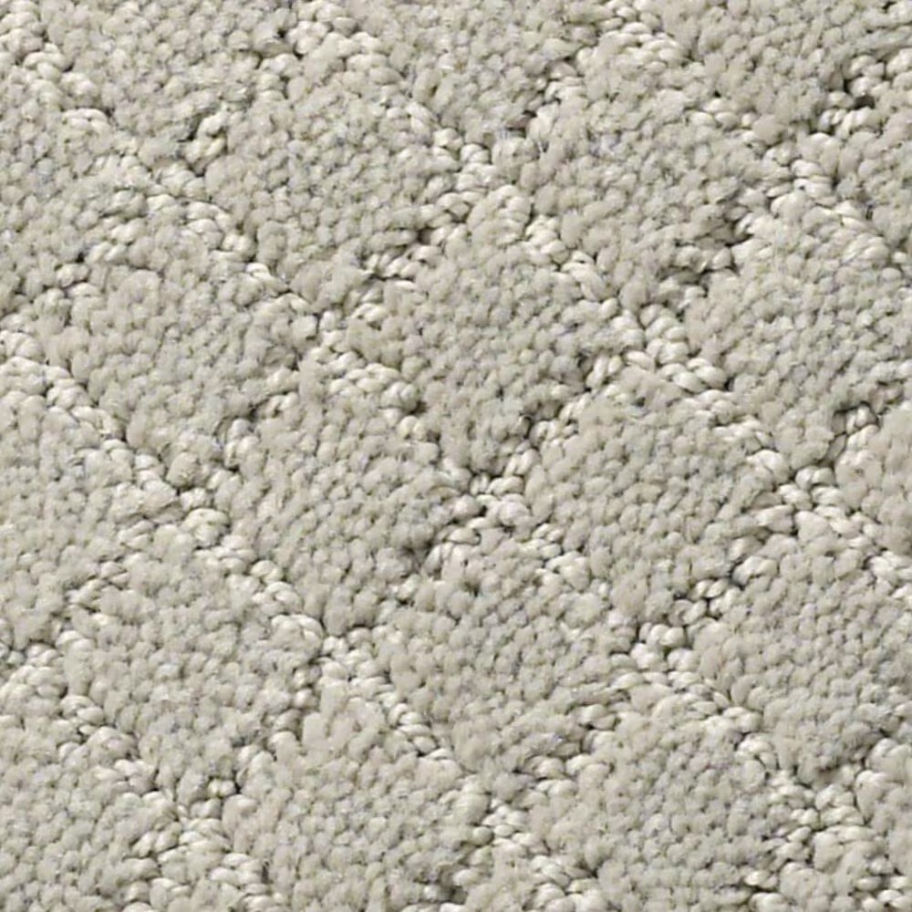 Anderson Tuftex Off Leash Carpet in Silver Fox
