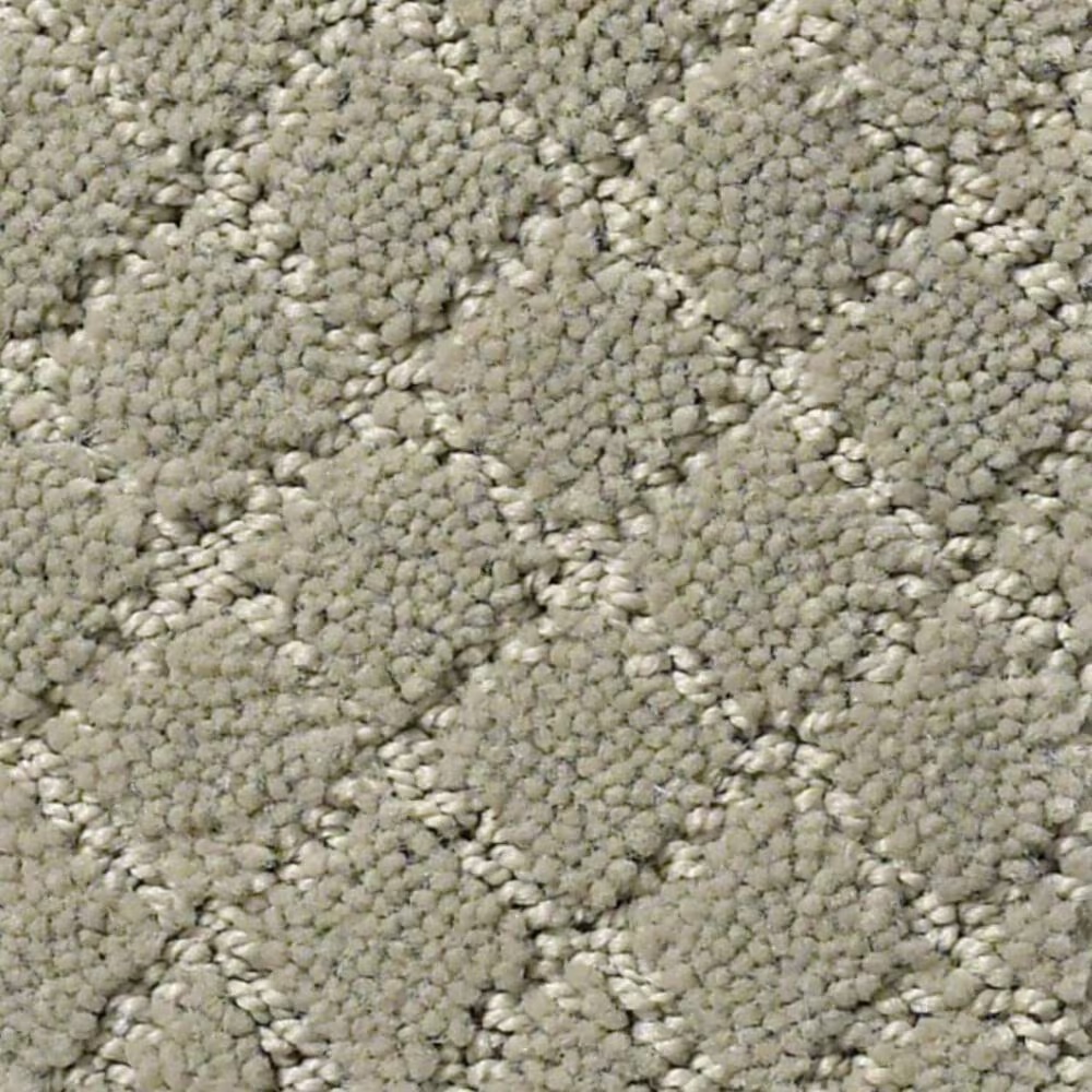 Anderson Tuftex Off Leash Carpet in Gray Mirage