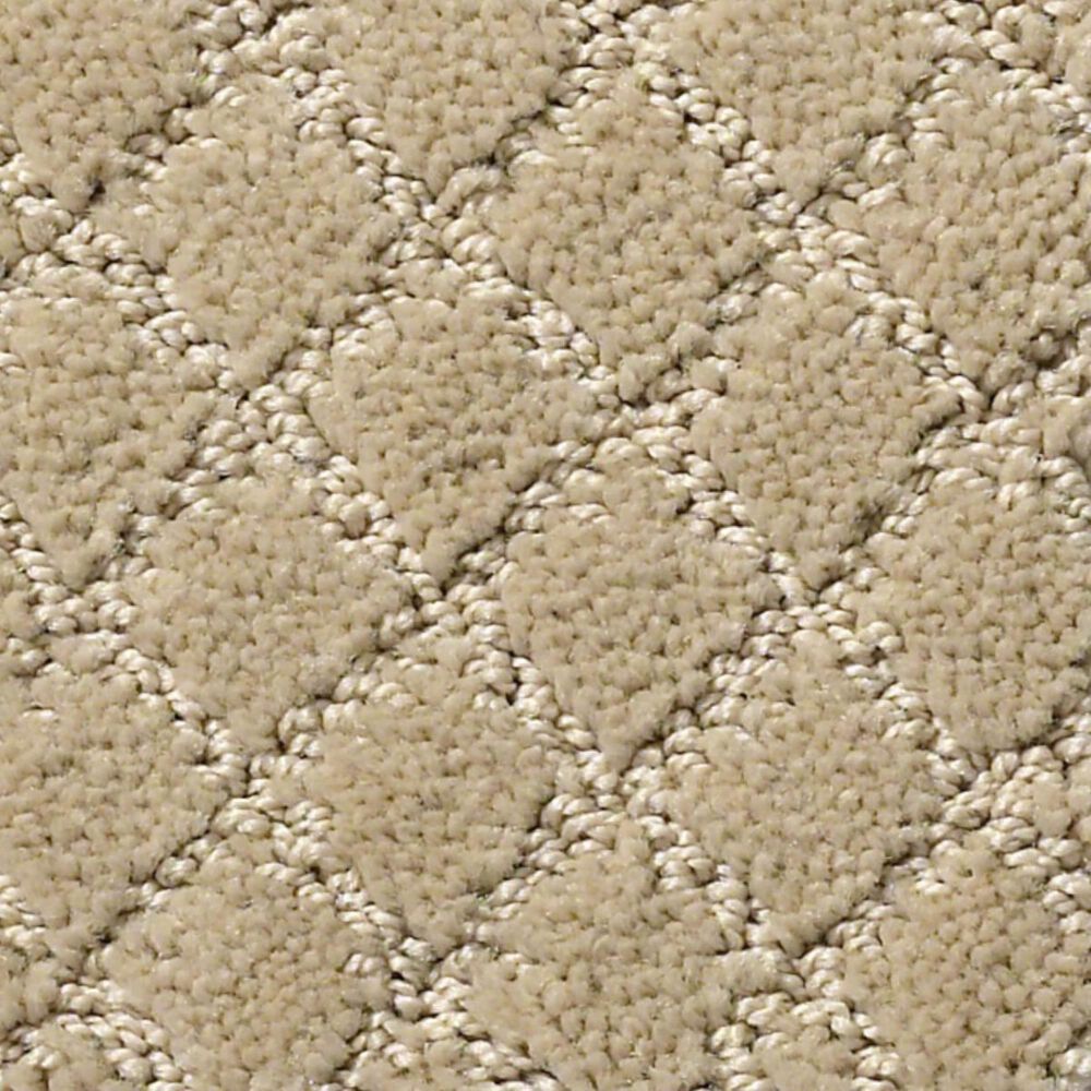 Anderson Tuftex Off Leash Carpet in Monterey