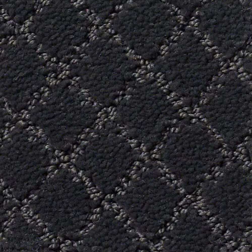 Anderson Tuftex Off Leash Carpet in Night Shade