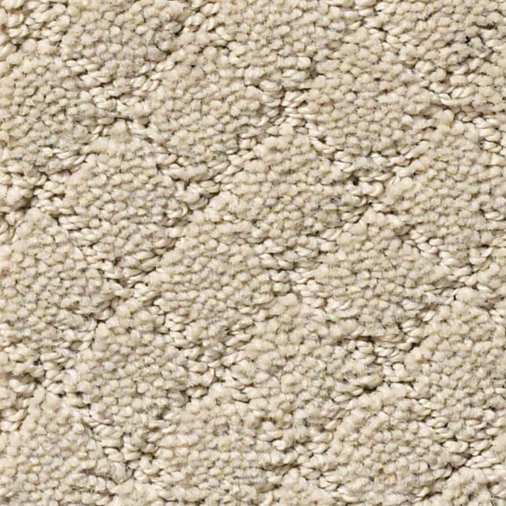 Anderson Tuftex Off Leash Carpet in Toffee Cream
