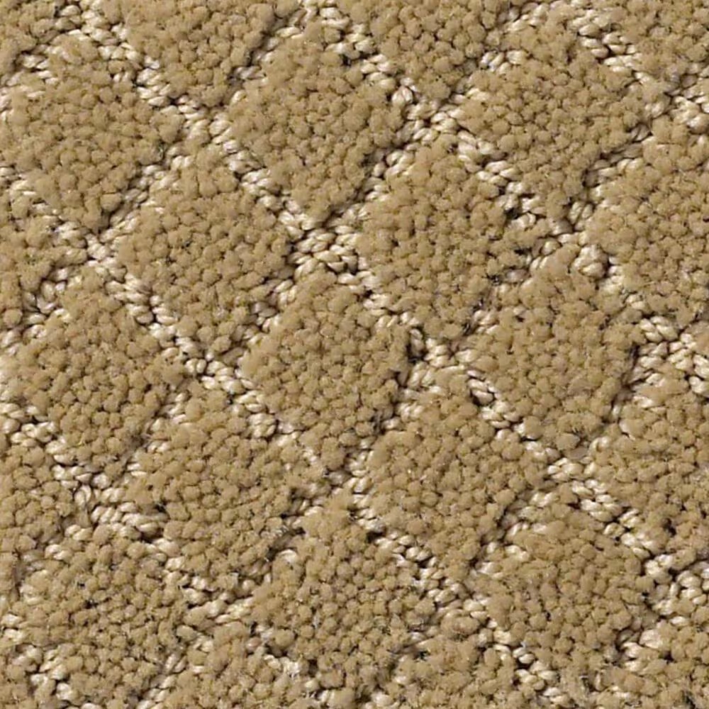 Anderson Tuftex Off Leash Carpet in Golden Straw