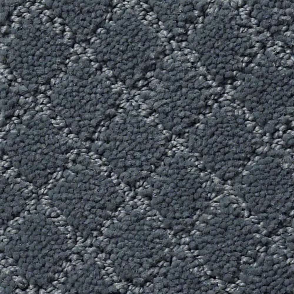 Anderson Tuftex Off Leash Carpet in Nimbus