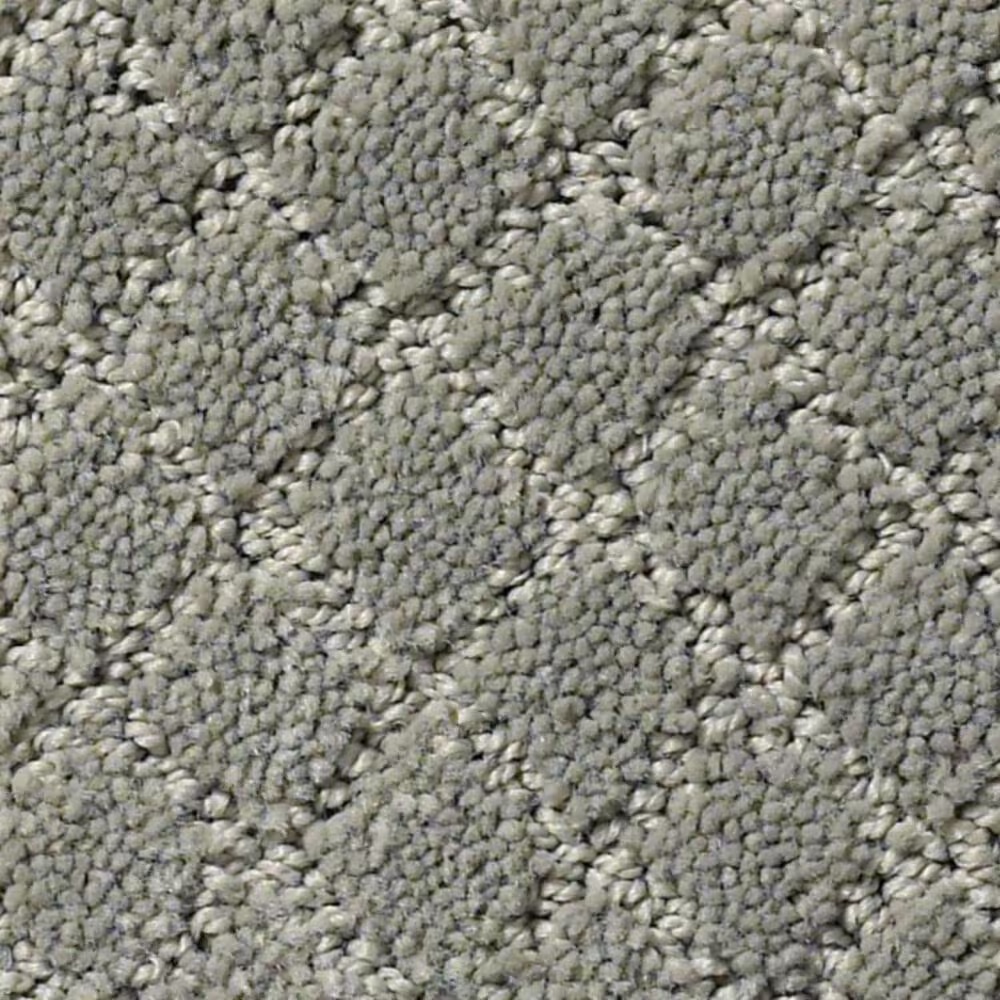 Anderson Tuftex Off Leash Carpet in Portland