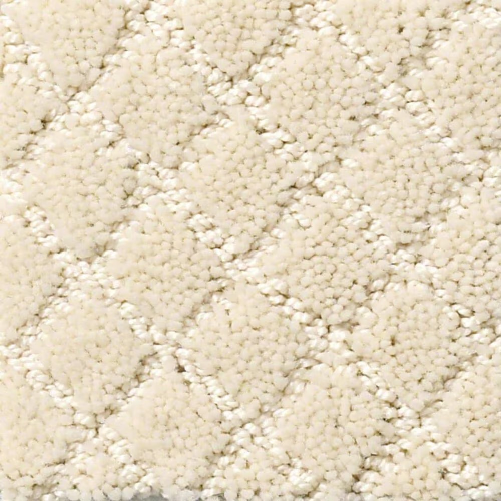 Anderson Tuftex Off Leash Carpet in Antiquity