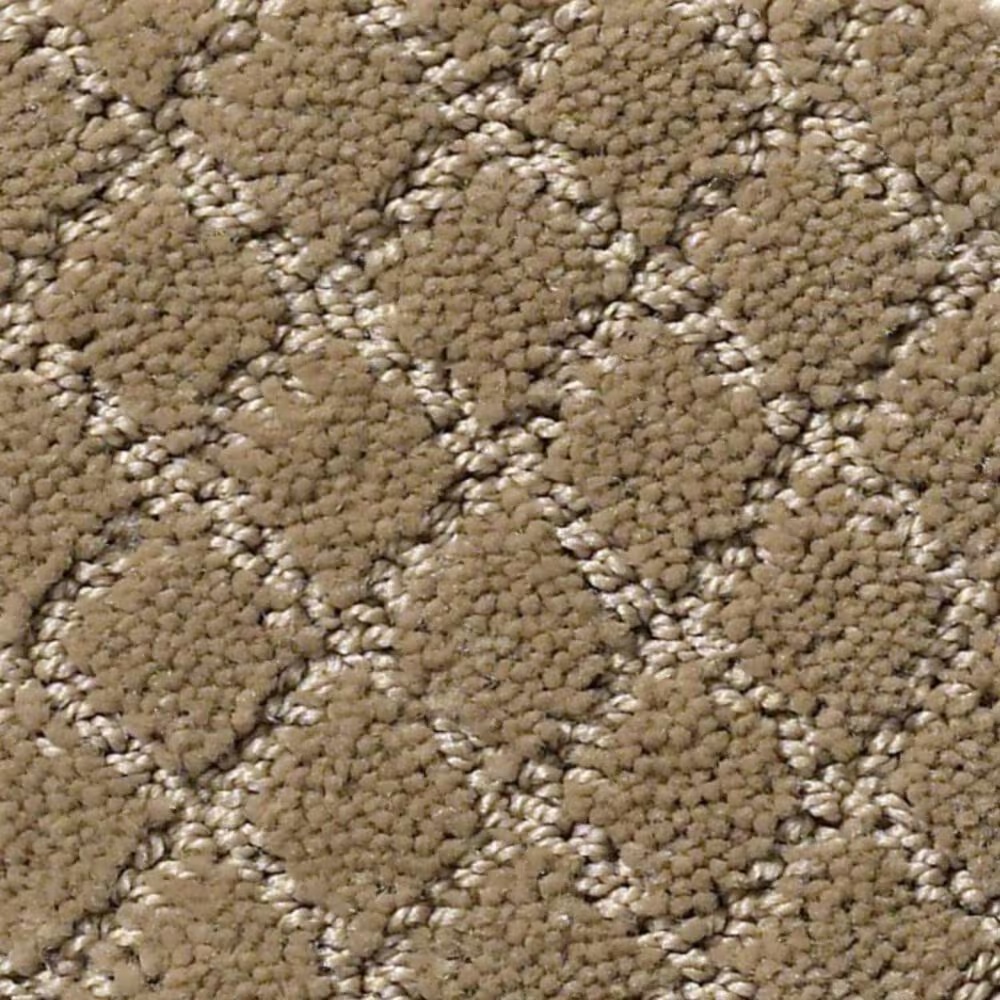 Anderson Tuftex Off Leash Carpet in Peanut Shell