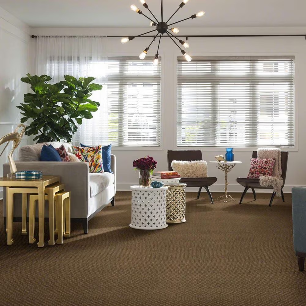 34222-anderson-tuftex-off-leash-carpet-in-peanut-shell-1.jpg