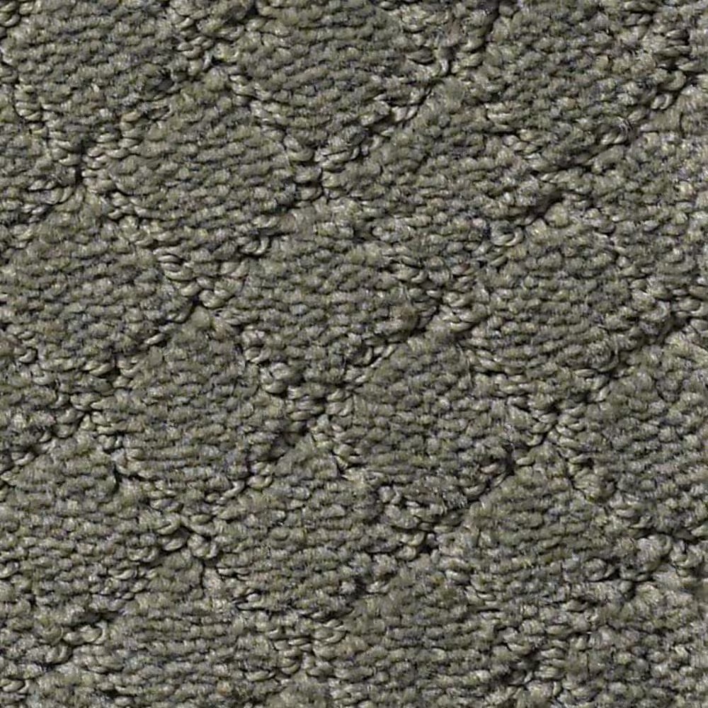Anderson Tuftex Off Leash Carpet in Smoked Oyster