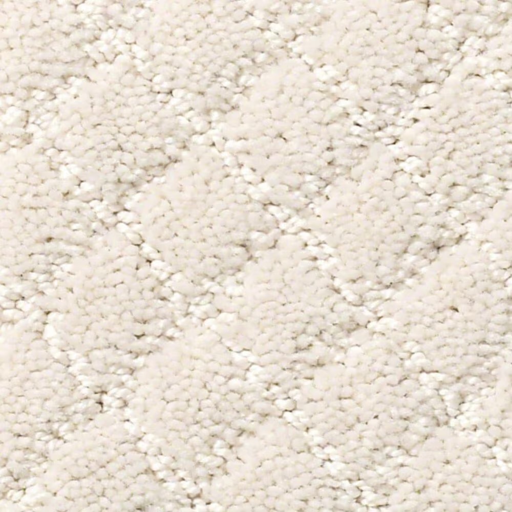 Anderson Tuftex Off Leash Carpet in Barely Beige