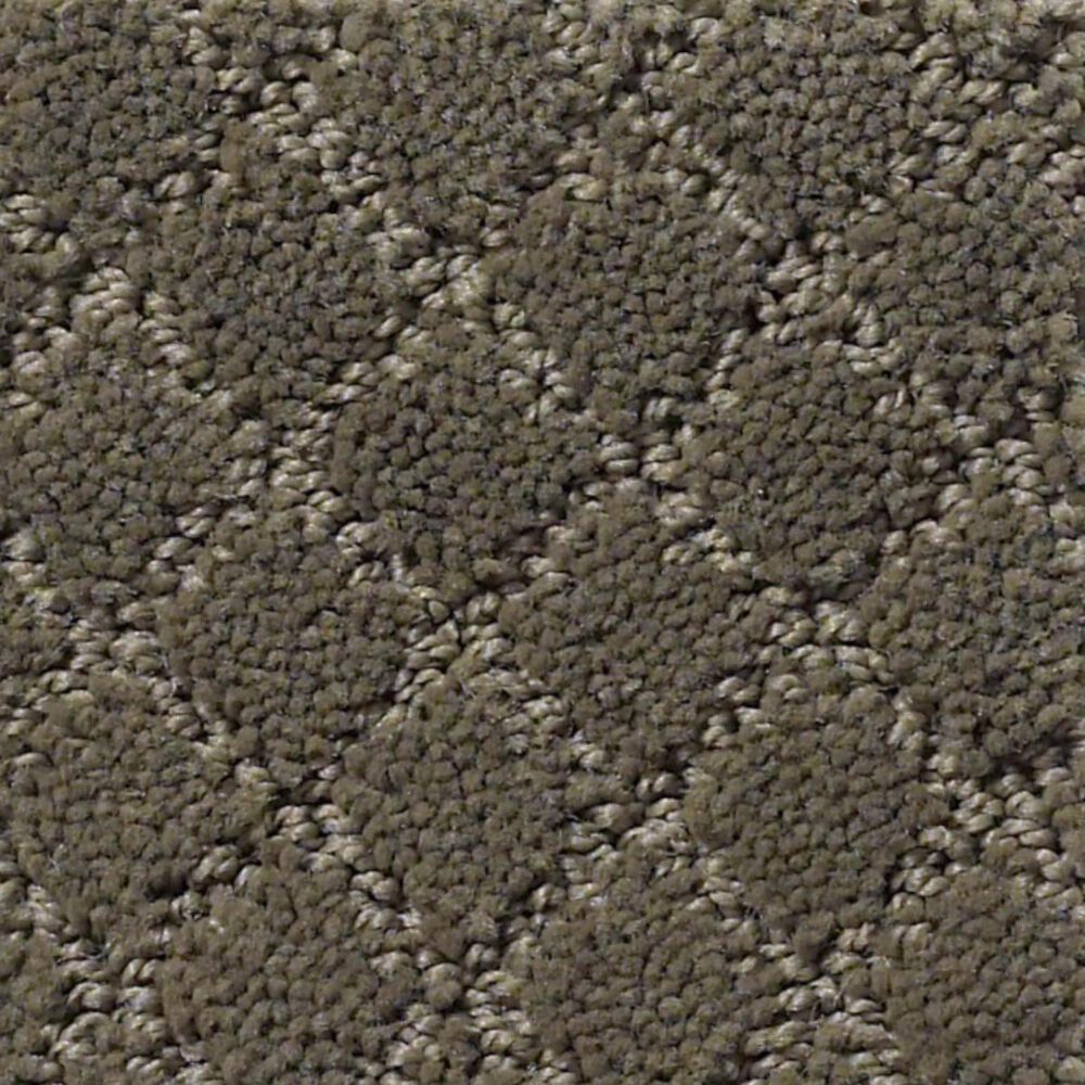 Anderson Tuftex Off Leash Carpet in Overcoat
