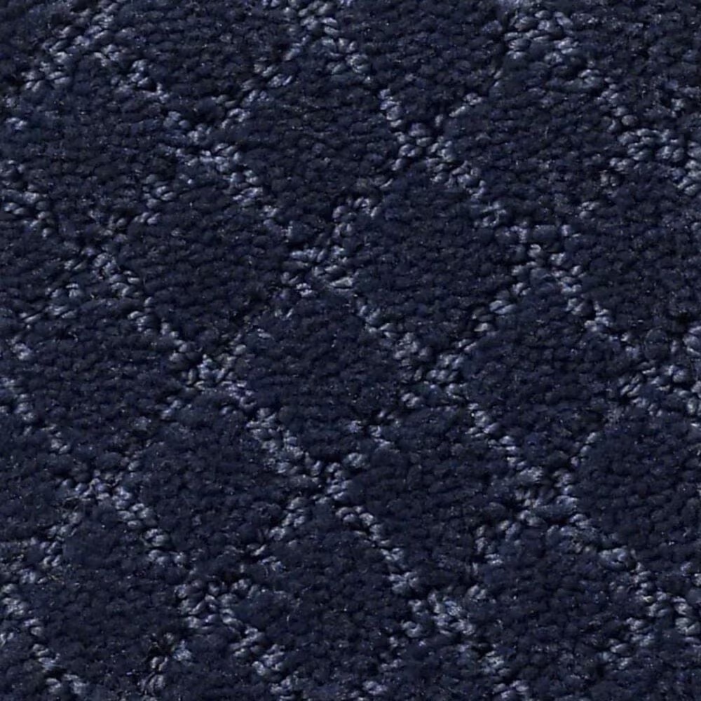Anderson Tuftex Off Leash Carpet in Downpour