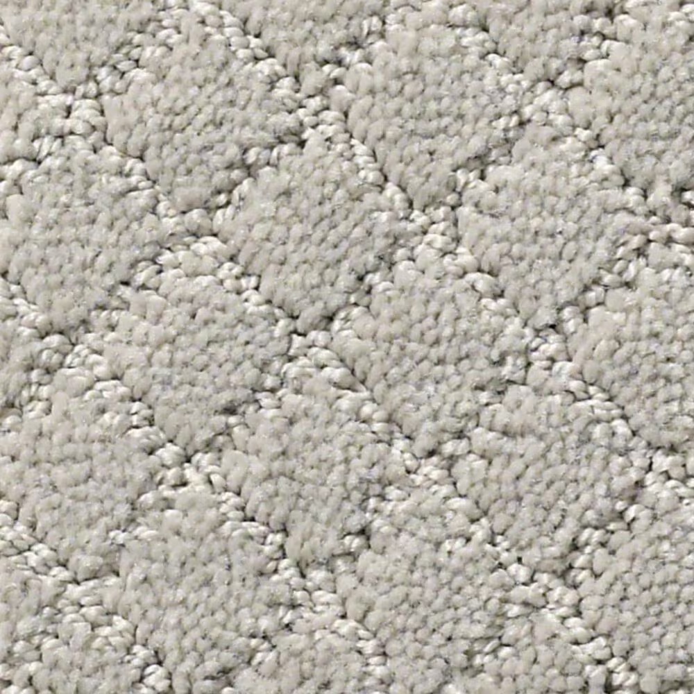 Anderson Tuftex Off Leash Carpet in Calm