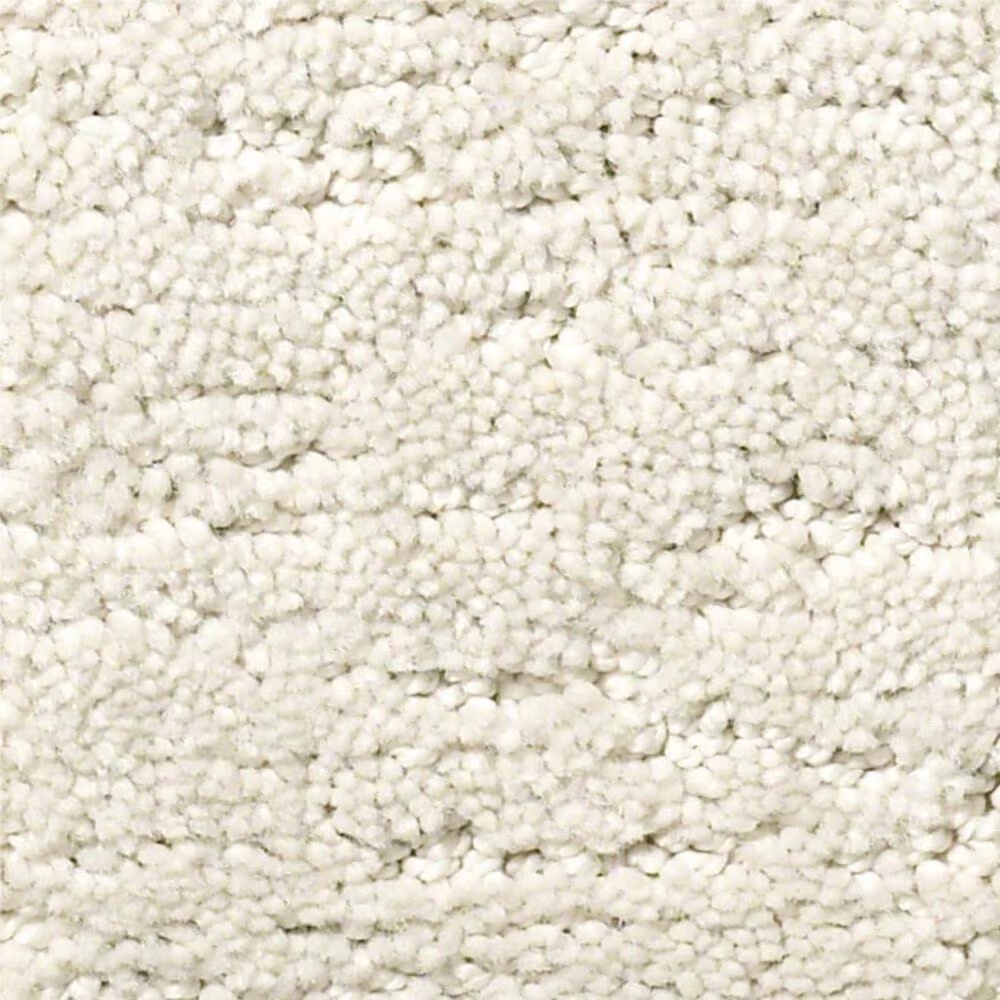 Anderson Tuftex Artistry Carpet in Minimal