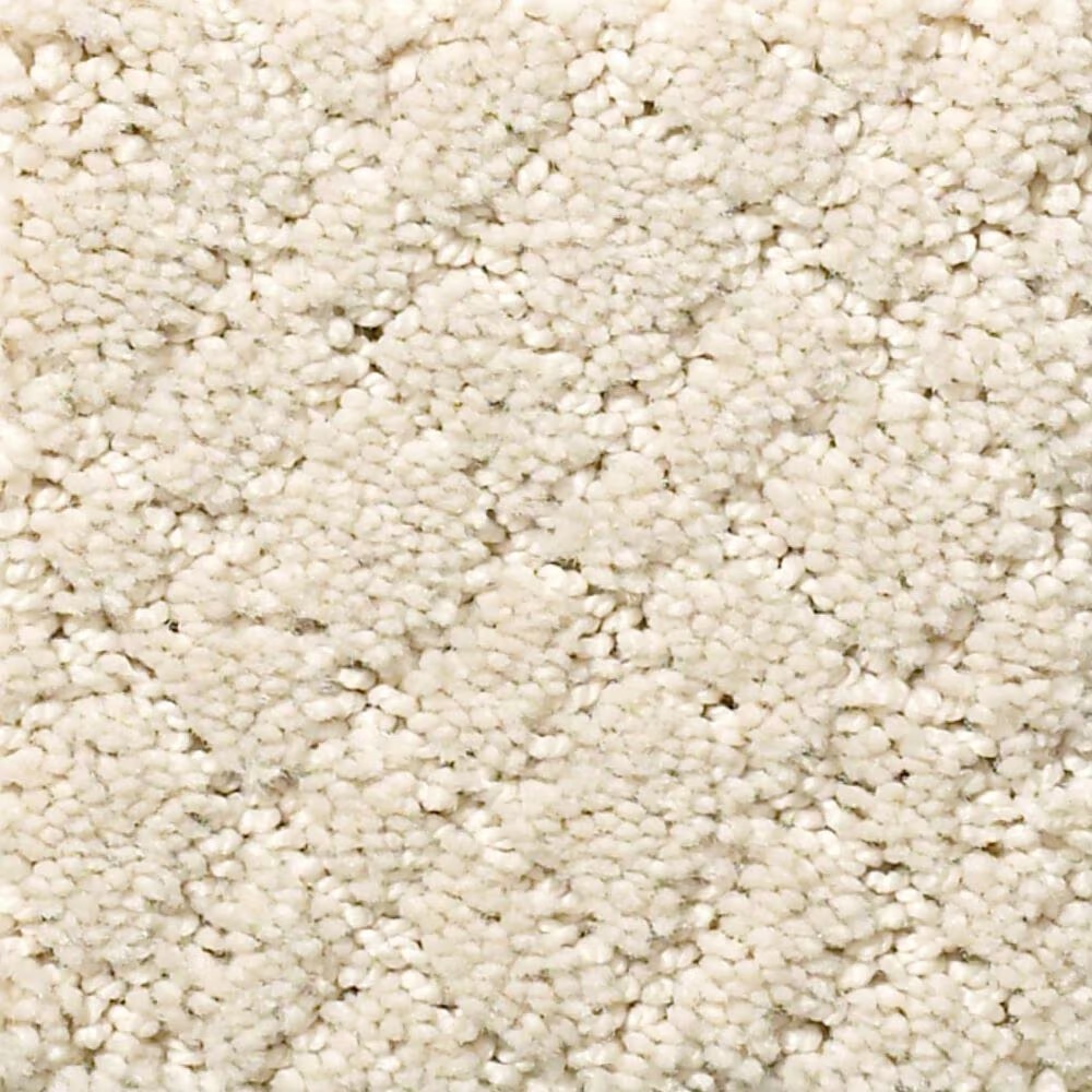 Anderson Tuftex Recital Carpet in Salt Box