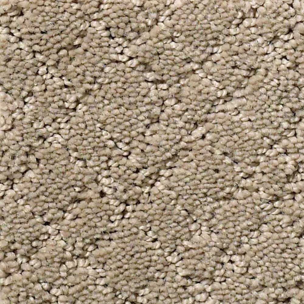 Anderson Tuftex Recital Carpet in Reflection