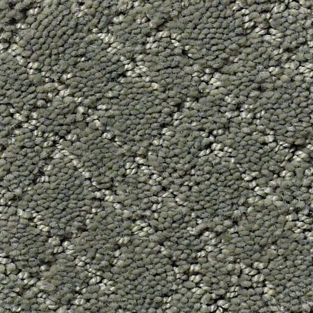 Anderson Tuftex Recital Carpet in Wonder