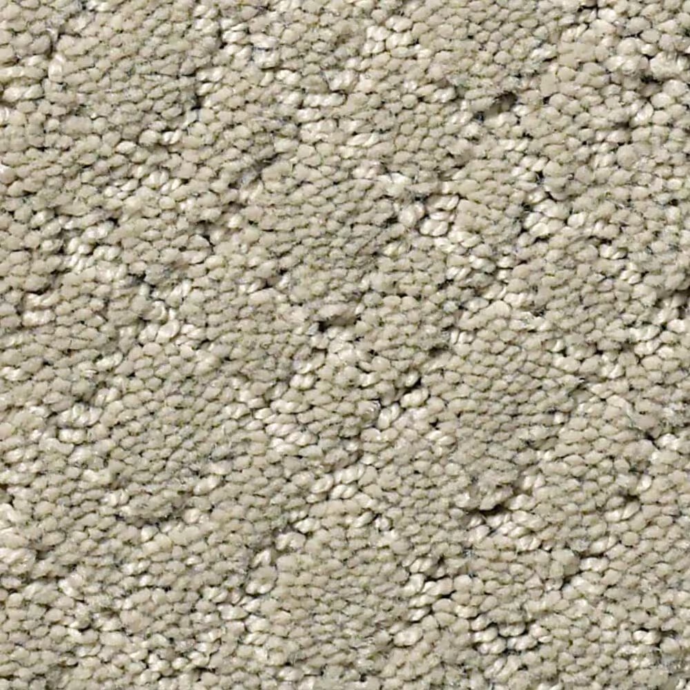 Anderson Tuftex Recital Carpet in Half Moon