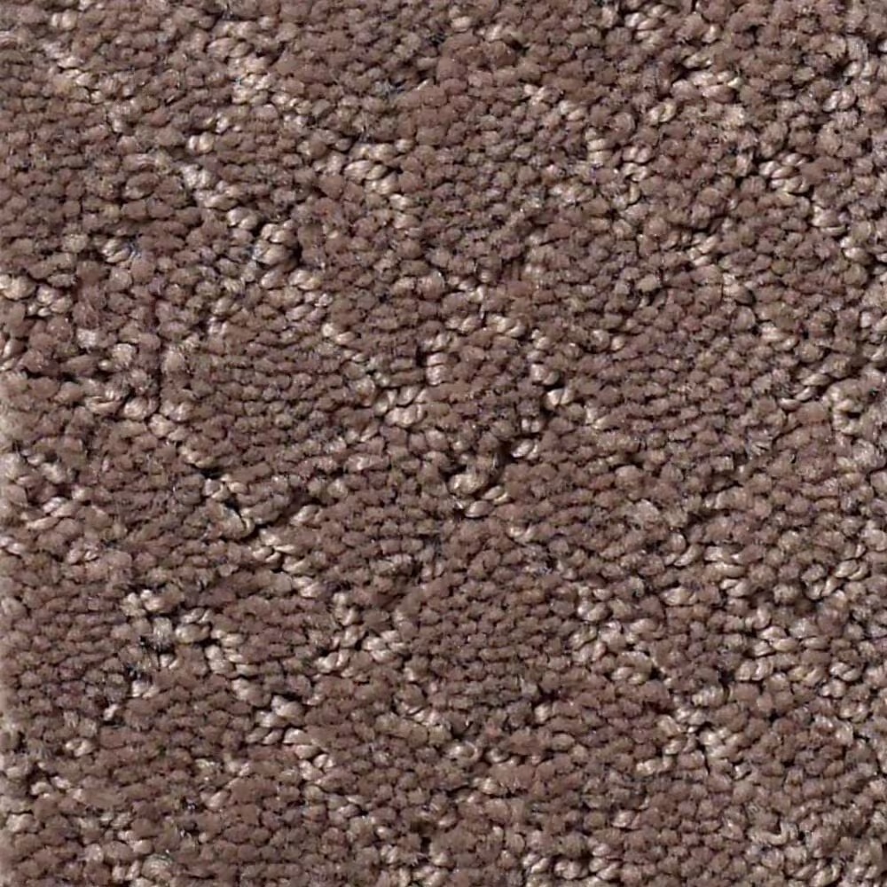 Anderson Tuftex Recital Carpet in Chantrelle