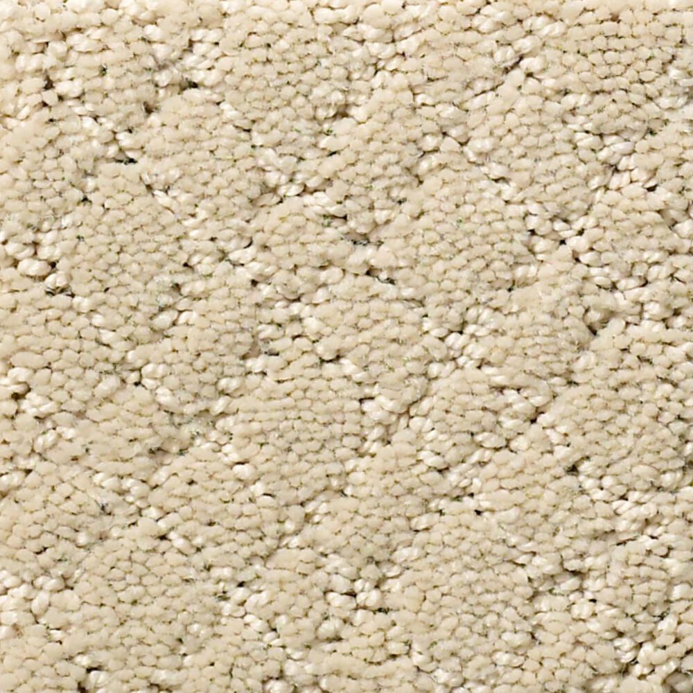 Anderson Tuftex Recital Carpet in Morning Light