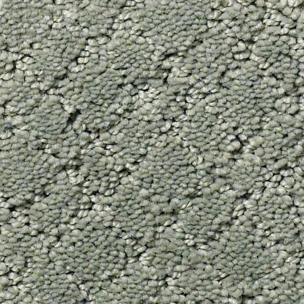 Anderson Tuftex Recital Carpet in Pine Forest
