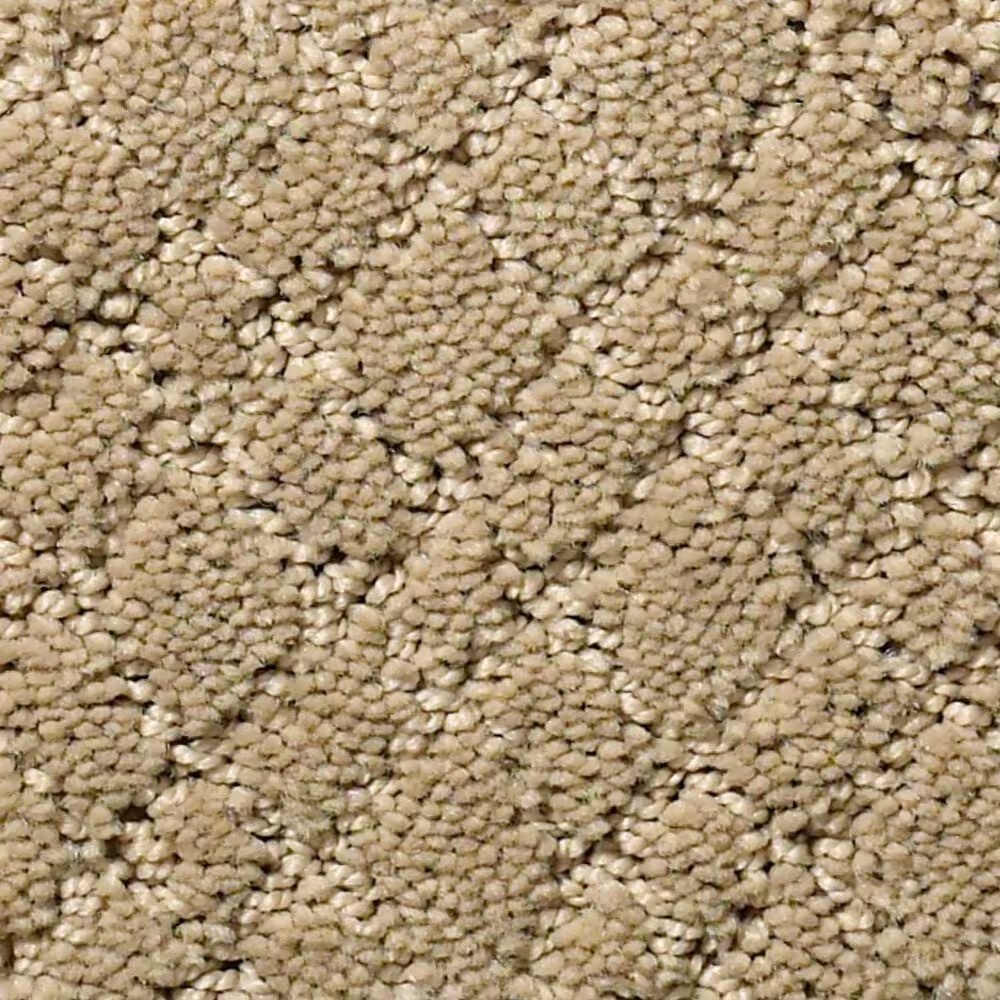 Anderson Tuftex Recital Carpet in Coronado