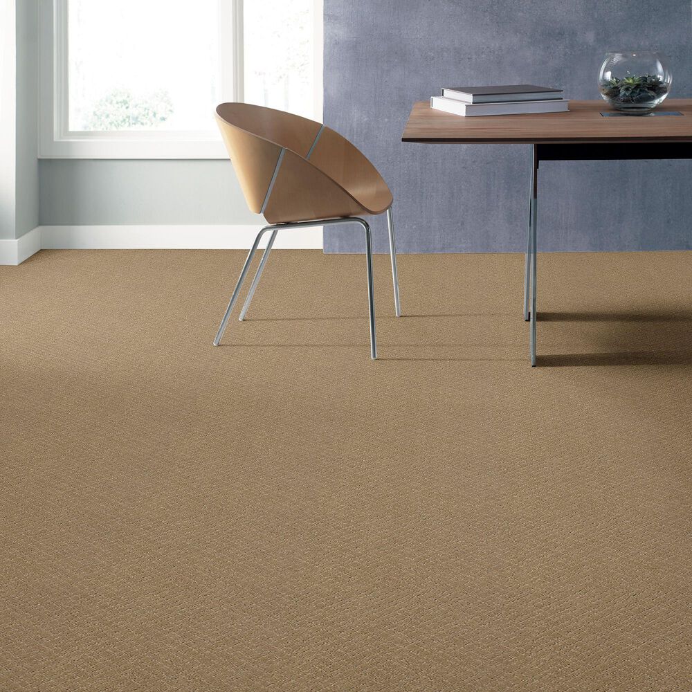 34409-anderson-tuftex-recital-carpet-in-coronado-1.jpg