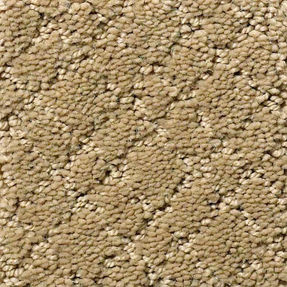 Anderson Tuftex Recital Carpet in Folklore