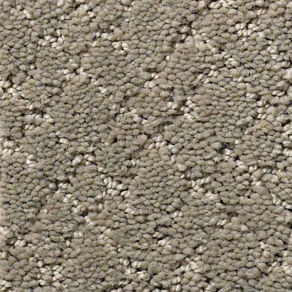 Anderson Tuftex Recital Carpet in Intrigue