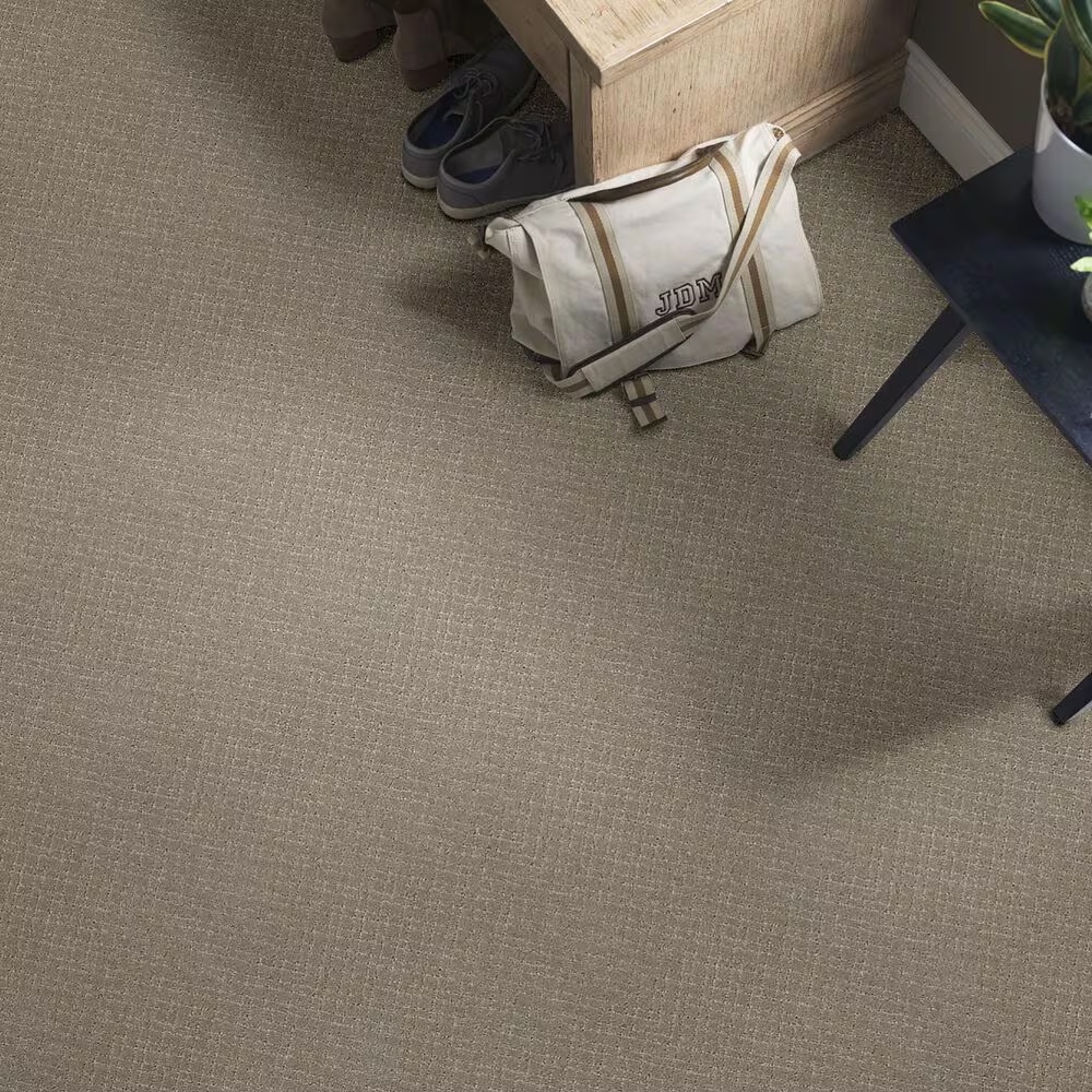 34411-anderson-tuftex-recital-carpet-in-intrigue-1.jpg