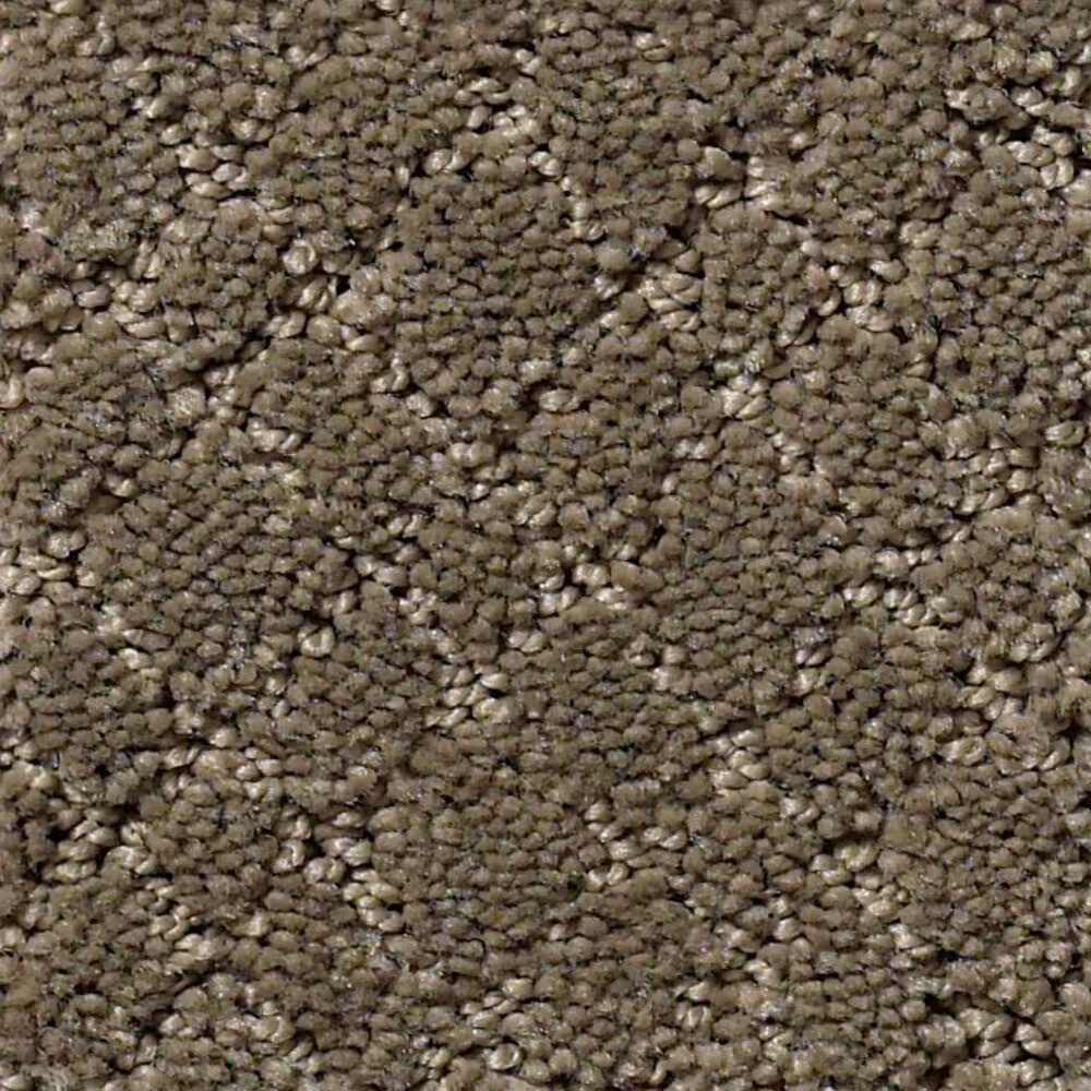 Anderson Tuftex Recital Carpet in Dash
