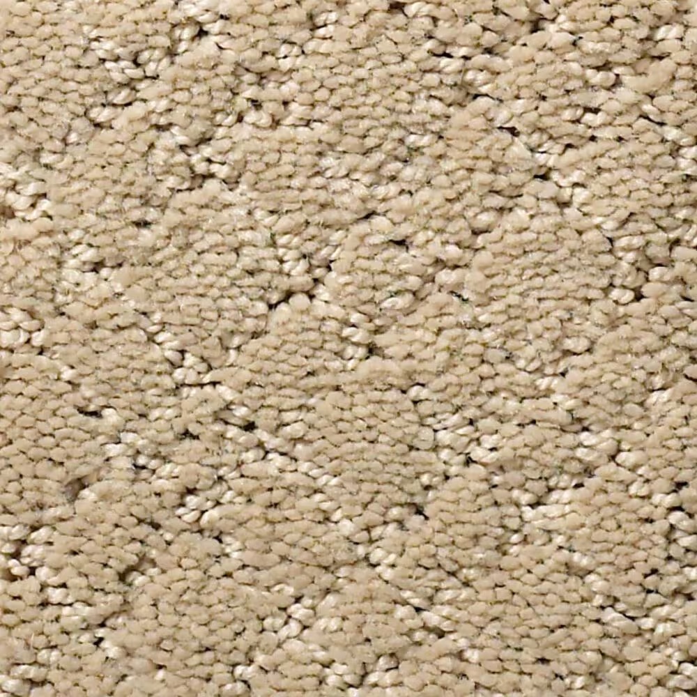 Anderson Tuftex Recital Carpet in Oak Ridge