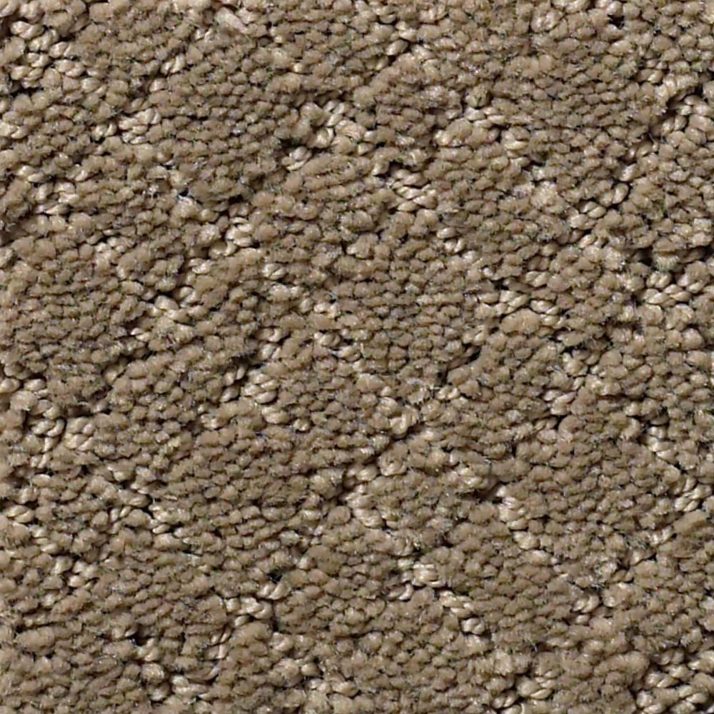 Anderson Tuftex Recital Carpet in Rockport
