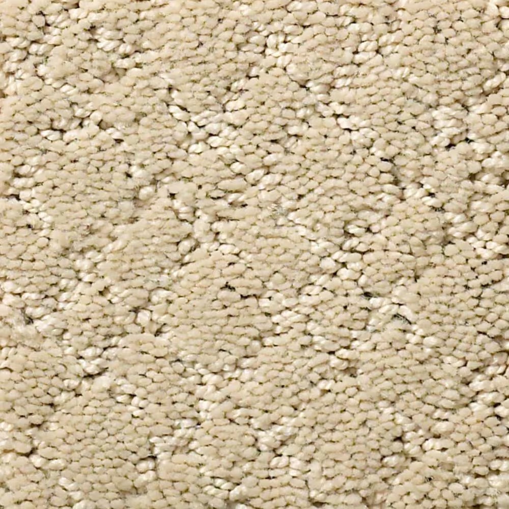 Anderson Tuftex Recital Carpet in Bungalow