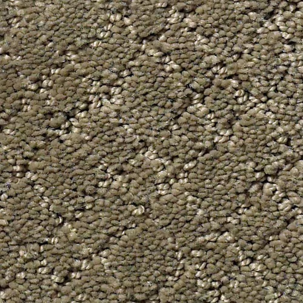 Anderson Tuftex Recital Carpet in Herbal