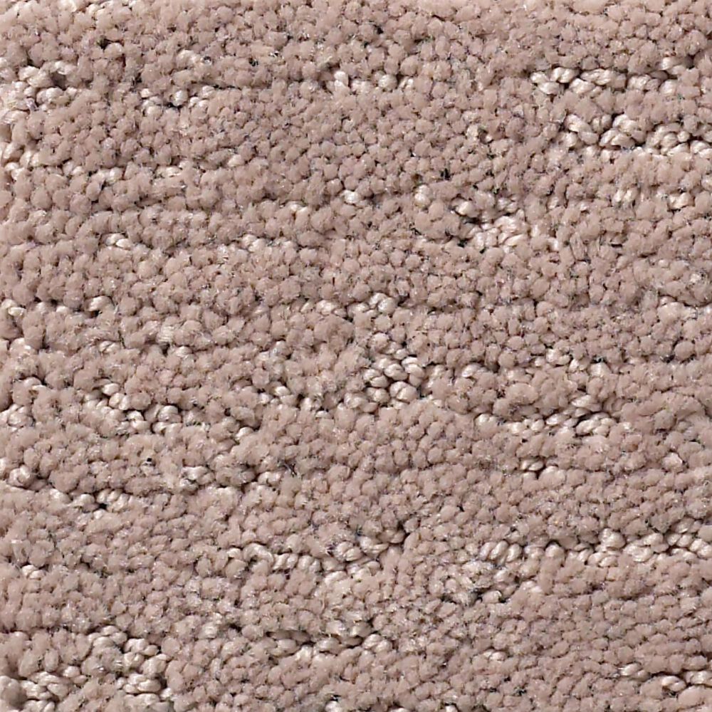Anderson Tuftex Contour Carpet in Socialite