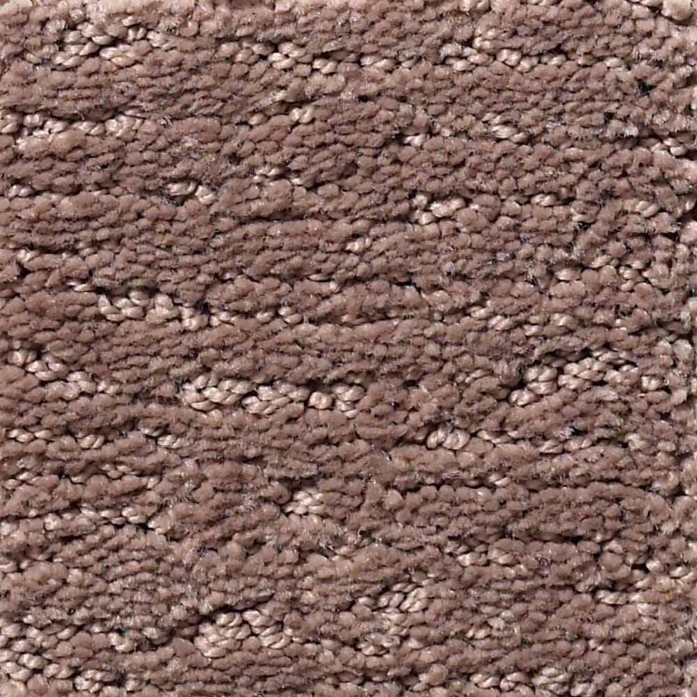 Anderson Tuftex Contour Carpet in Enigma