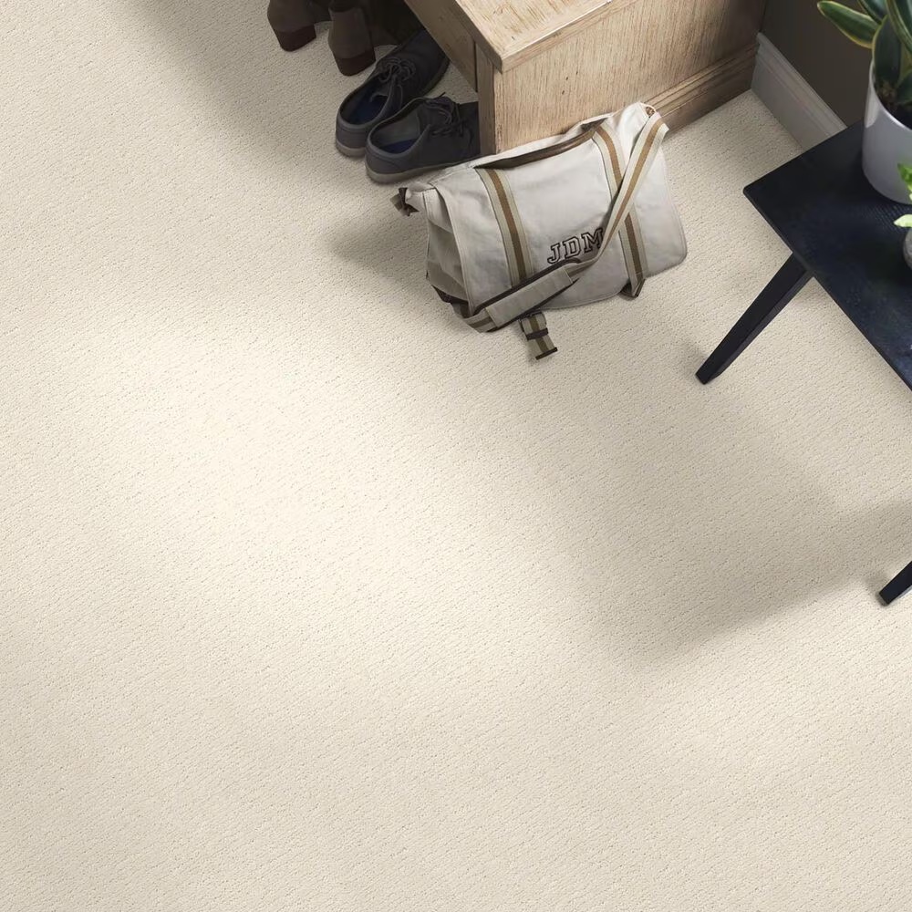 34431-anderson-tuftex-contour-carpet-in-almond-silk-1.jpg