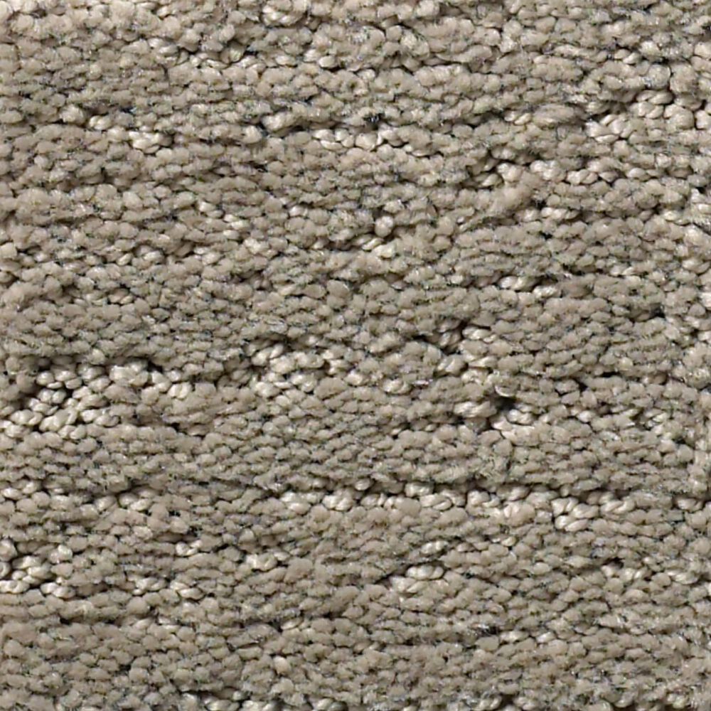 Anderson Tuftex Contour Carpet in Intrigue