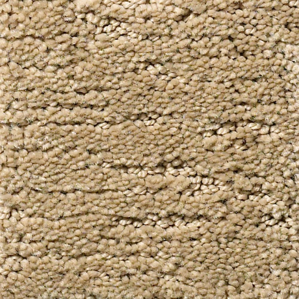 Anderson Tuftex Contour Carpet in Folklore